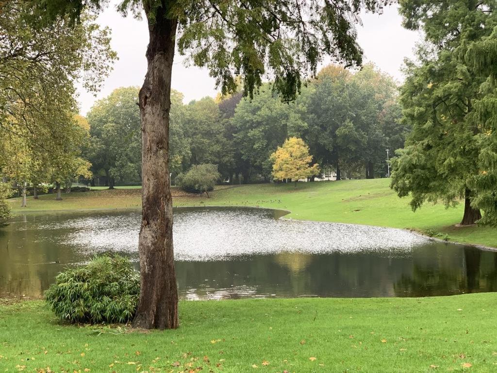Moebliertes Wohnung Am Geroweiher Moenchengladbach Екстериор снимка